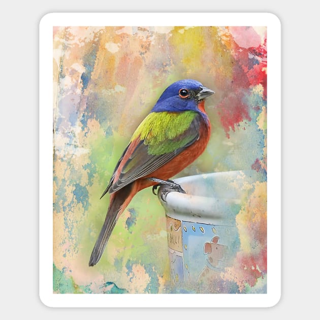 Painted Bunting Bird Sticker by candiscamera